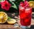 Hibiscus Honey Mocktail