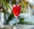 Pomegranate Fizz Mocktail