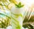 Coconut Lime Slush Mocktail