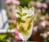 Elderflower Mint Mocktail