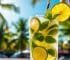 Midlife Mojito Mocktail